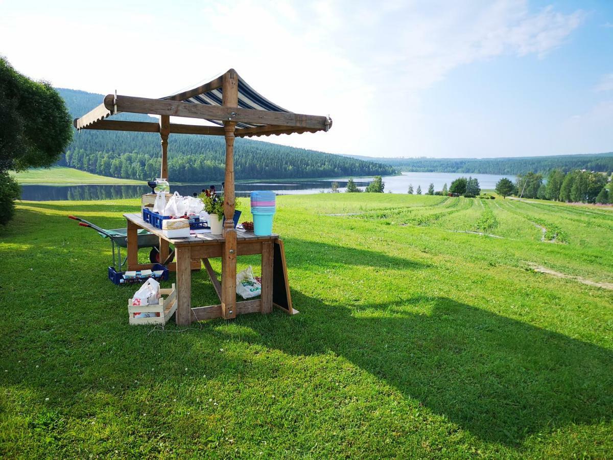 Skatauddens Lantgard Villa Alvsbyn Luaran gambar