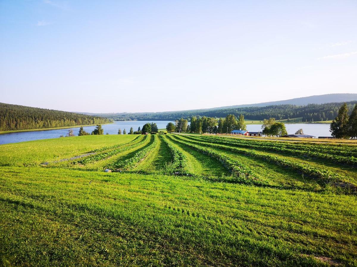 Skatauddens Lantgard Villa Alvsbyn Luaran gambar