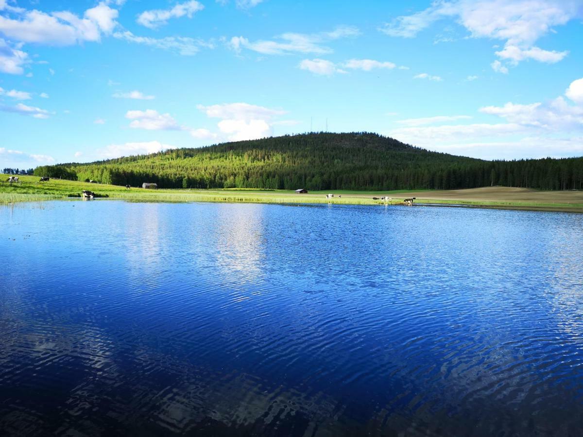 Skatauddens Lantgard Villa Alvsbyn Luaran gambar