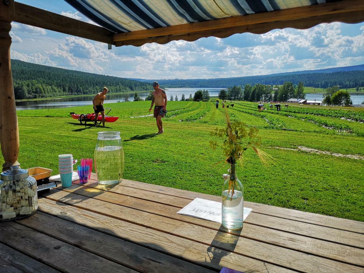 Skatauddens Lantgard Villa Alvsbyn Luaran gambar